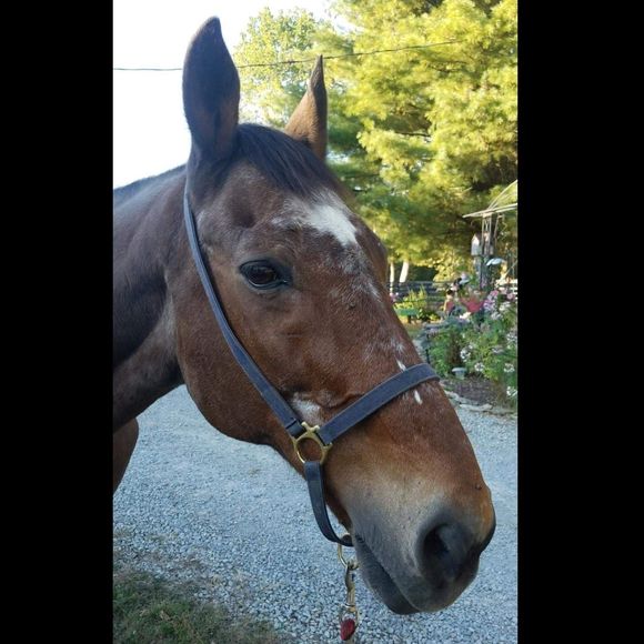 Meet your Posher, Jesslyn - Picture 1 of 1